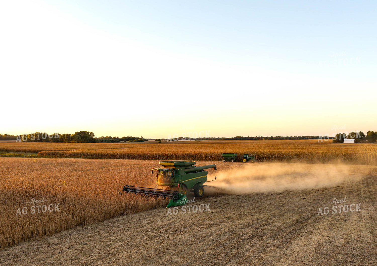 Soybean Harvest 115845