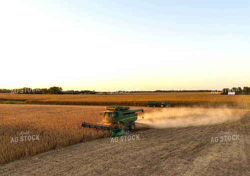 Soybean Harvest 115845