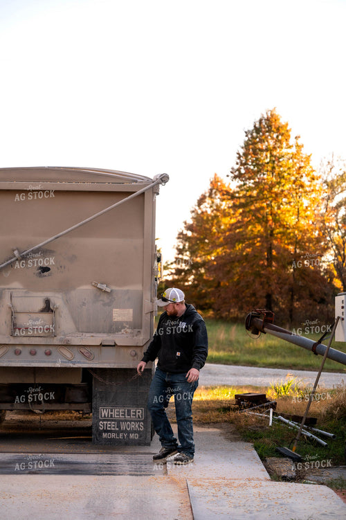 Farmer Unloading Semi 115490