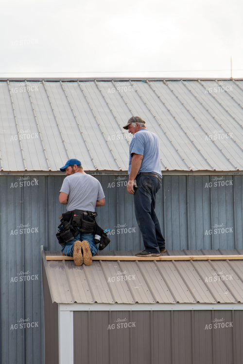 Putting up Barn 157054