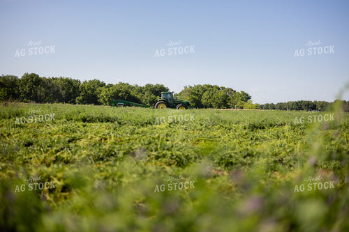 Mowing Hay 281011