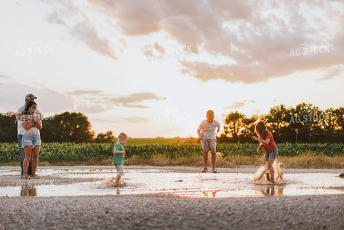 Farm Family Playing 8842
