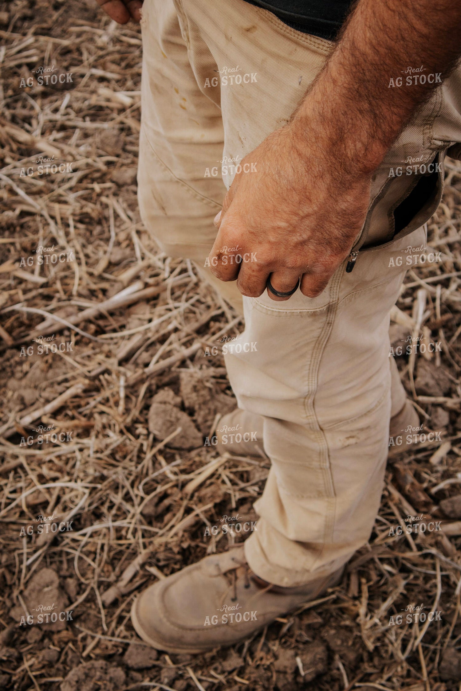 Farmer in Field 289026