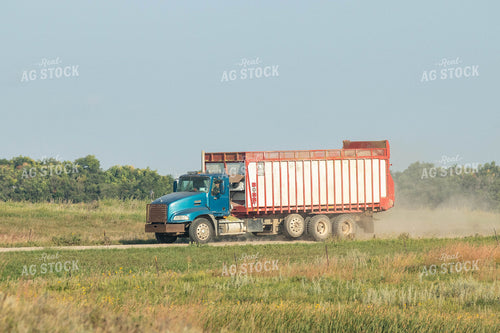 Siage Truck on Gravel Road 72098