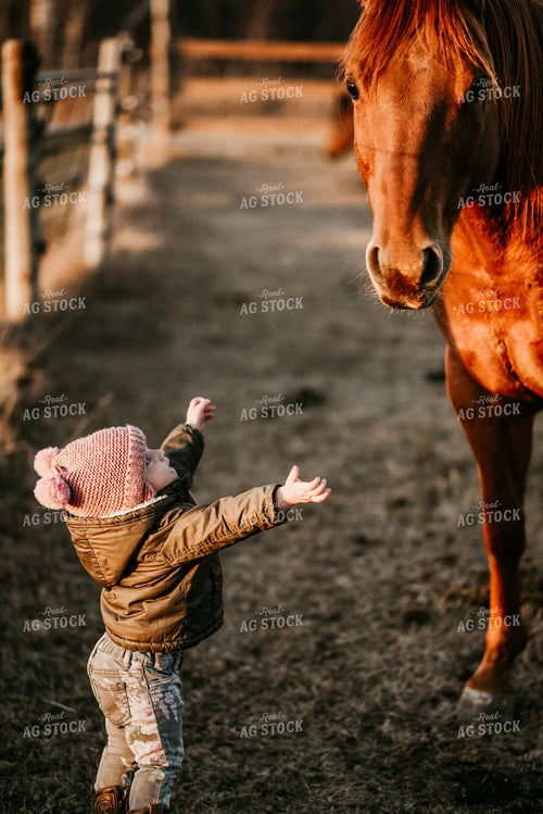 Horse and Farm Kid 64183