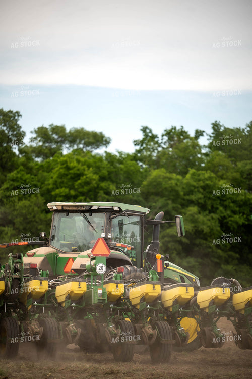 Planting 115681