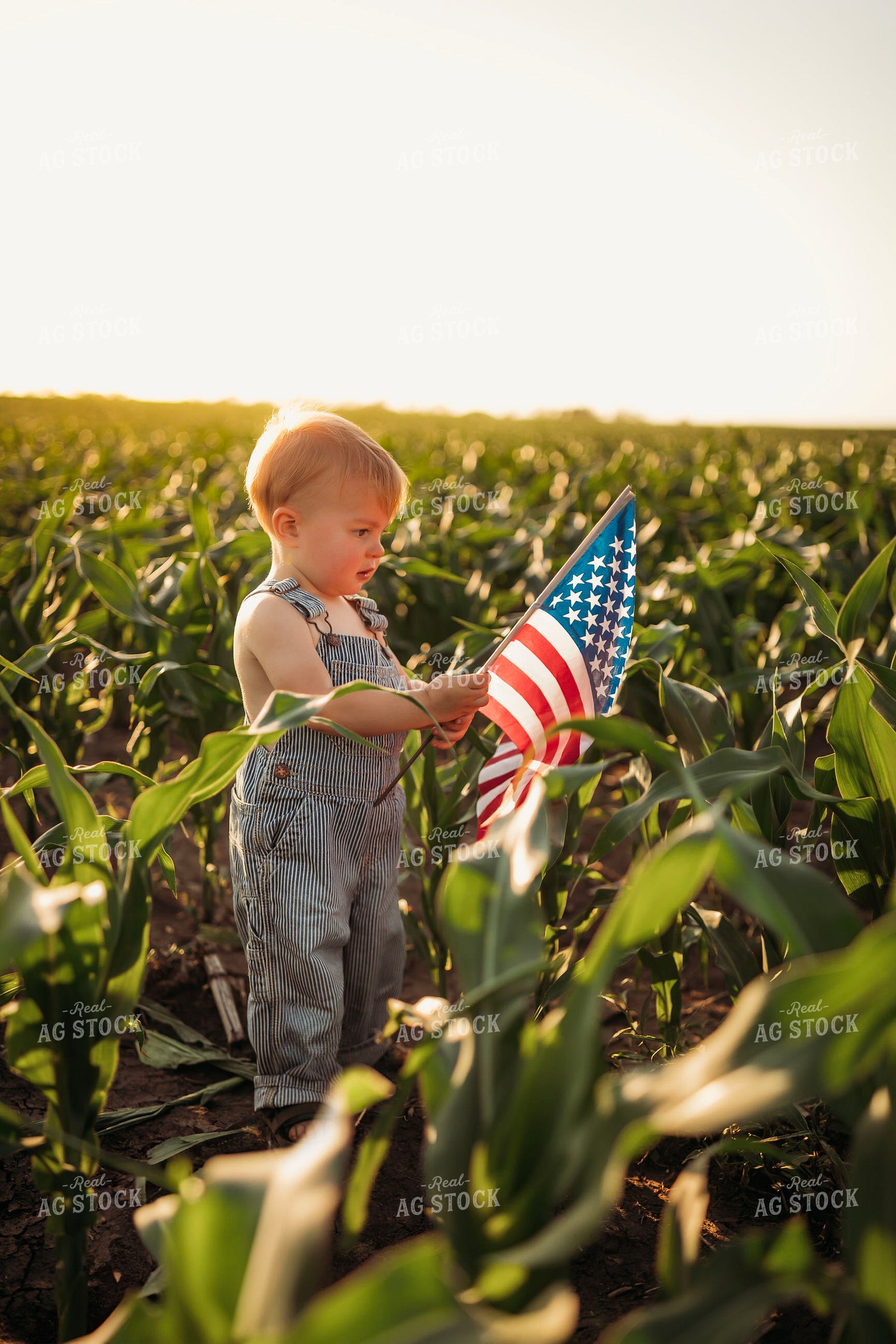 Farm Kid Holding American Flag 285062