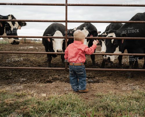 Farm Kid by Fence 170008