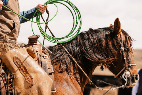Rancher Roping Cattle on Ranch on Horseback 225003