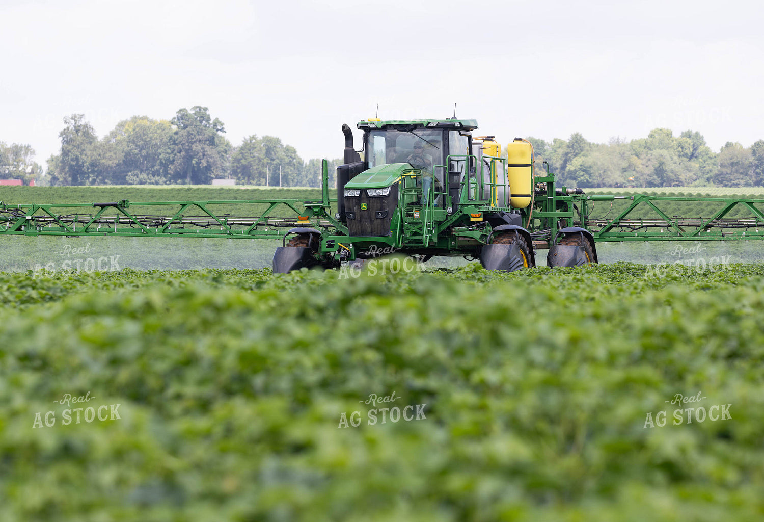 Spraying 79725