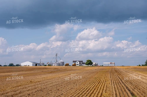 Harvested Wheat and Straw Field 50141