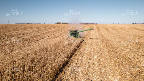 Corn Harvest 114008
