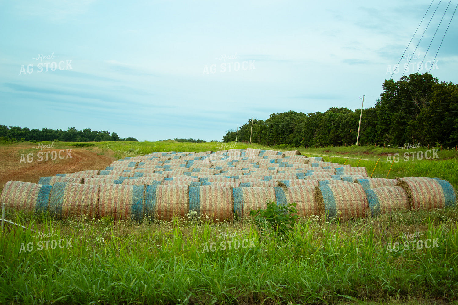 Hay Wrapped in Red, White and Blue 71022