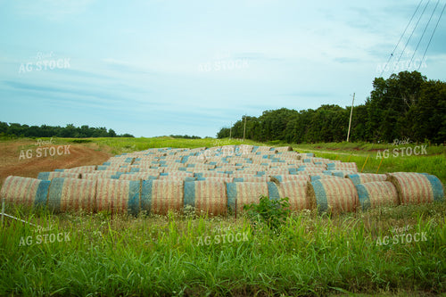Hay Wrapped in Red, White and Blue 71022