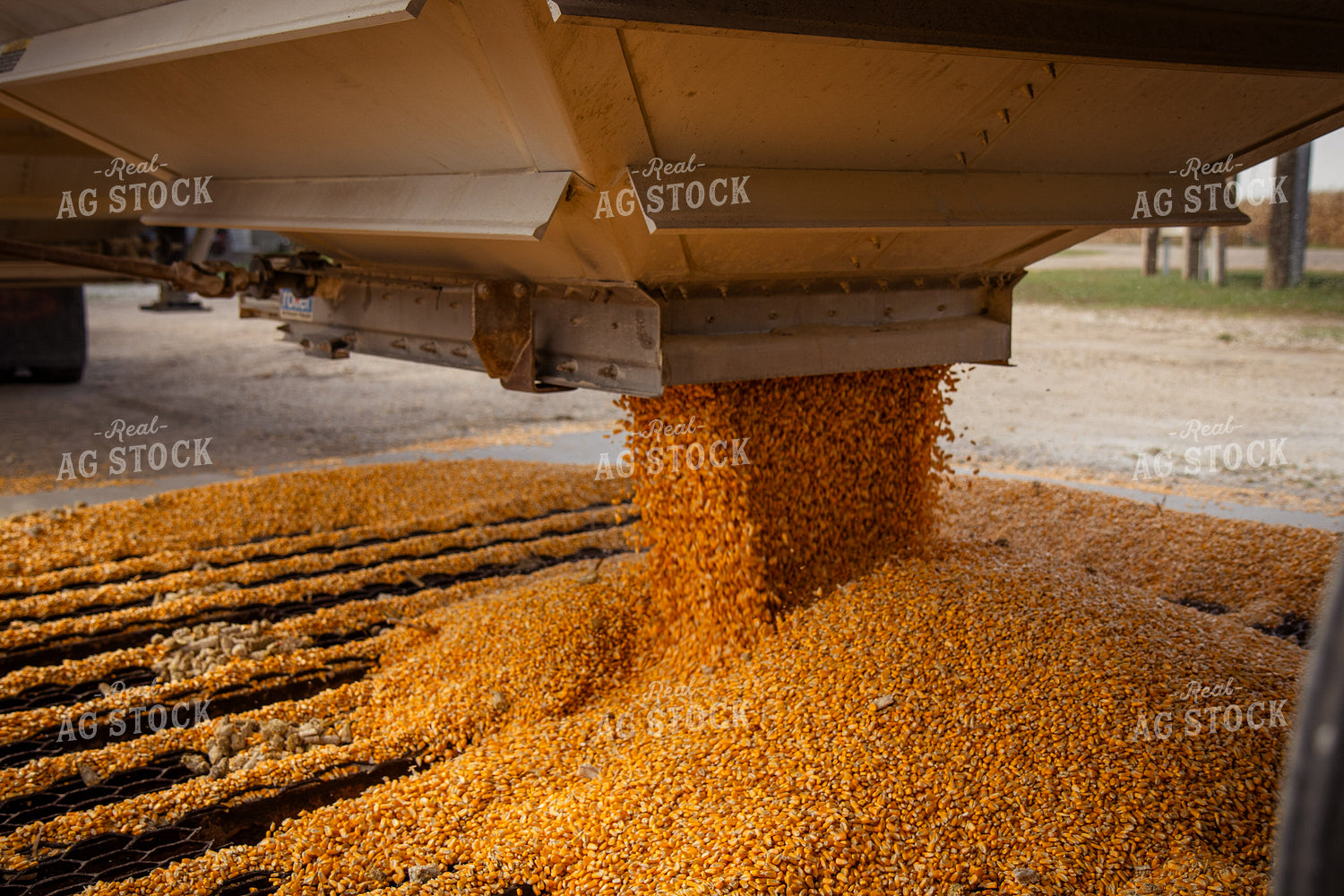Corn Dumping into Grian Pit 268107