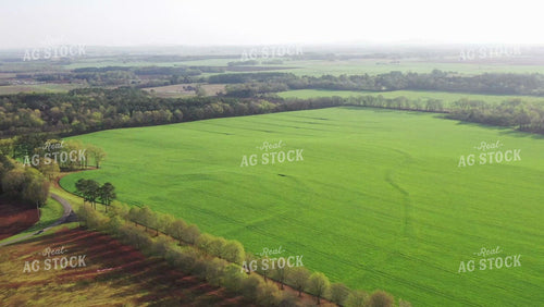 Aerial of Growing Crops 79458