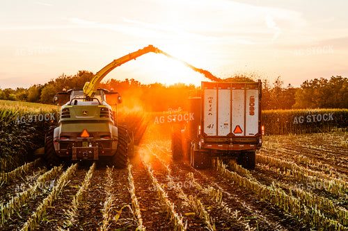Corn Silage Harvest 272061