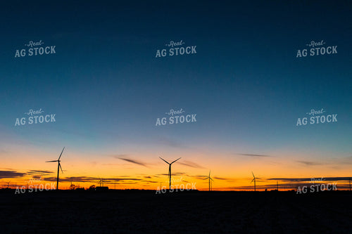 Farmland at Sunset 96030