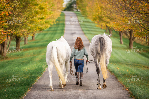 Female Equestrian with Horses 270395