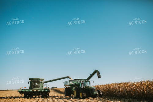 Combine Unloading Corn into Grain Cart 4672