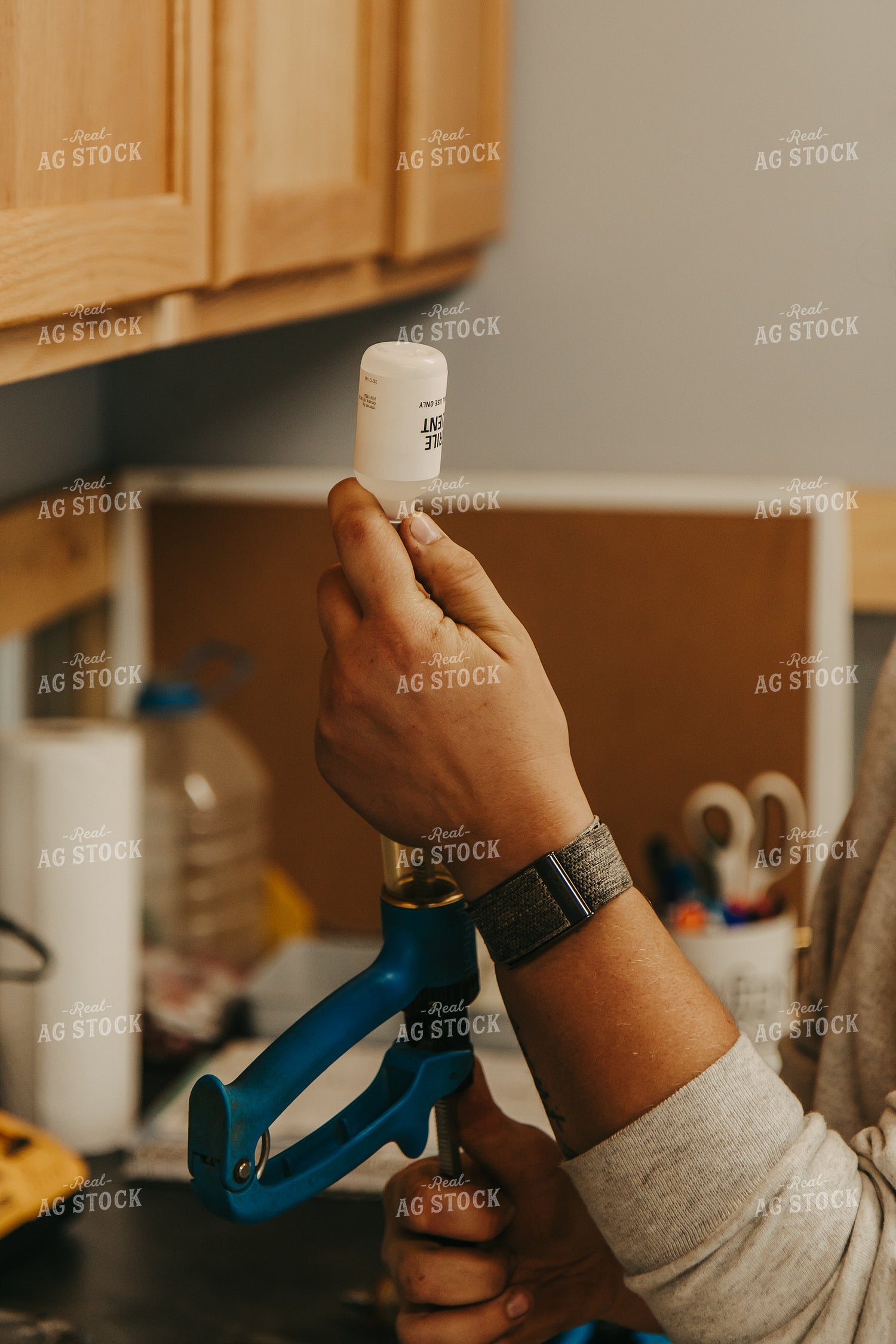 Female Rancher Preparing Cattle Vaccine 67529