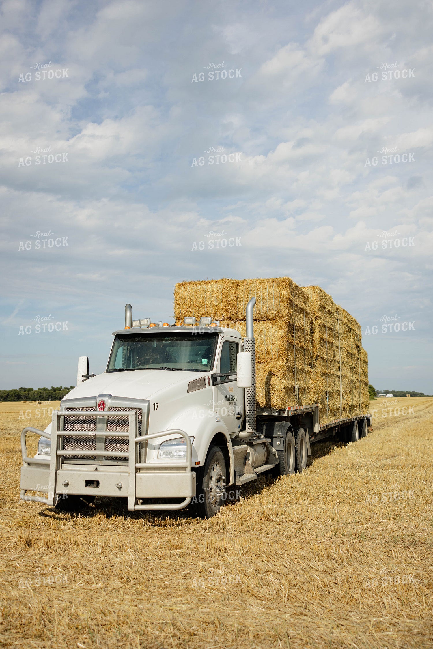 Semi Loaded with Straw Bales 296090