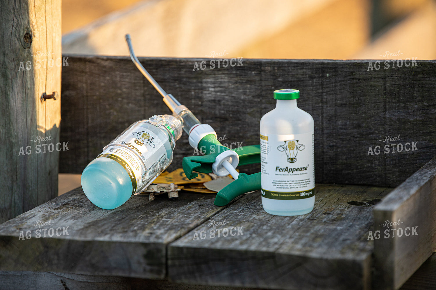 Cattle Medicine 189017
