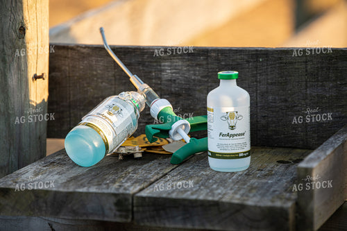 Cattle Medicine 189017