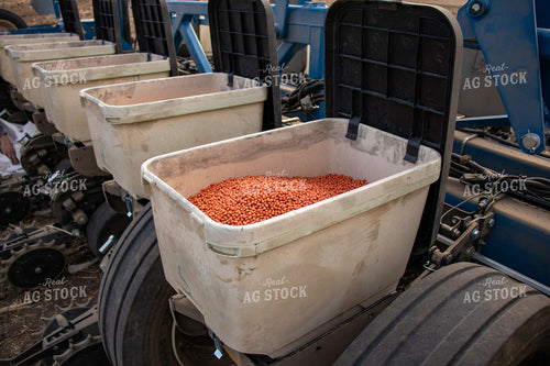 Soybeans in Planter Box 67101