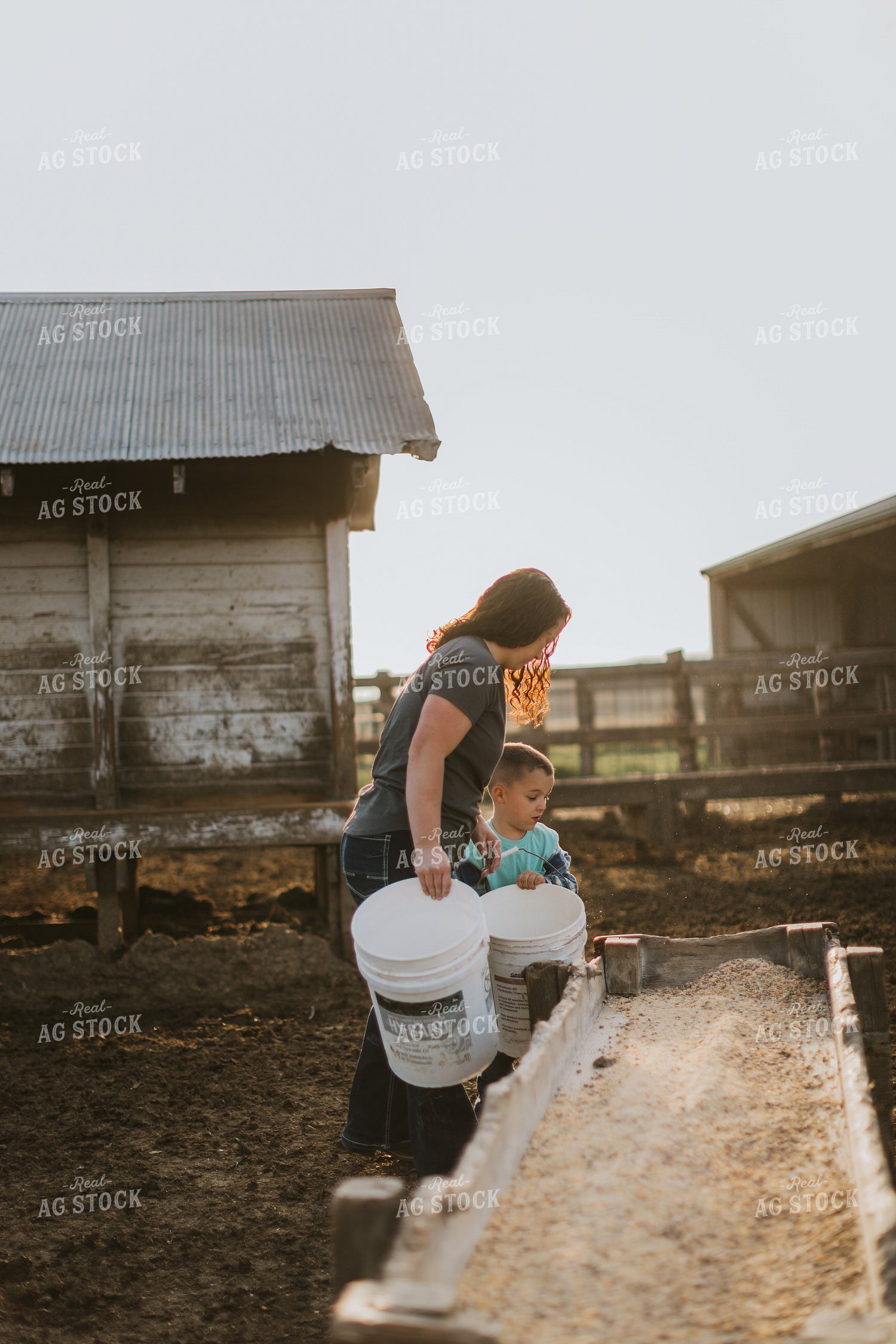 Farmer and Farm Kid Doing Chores 7406