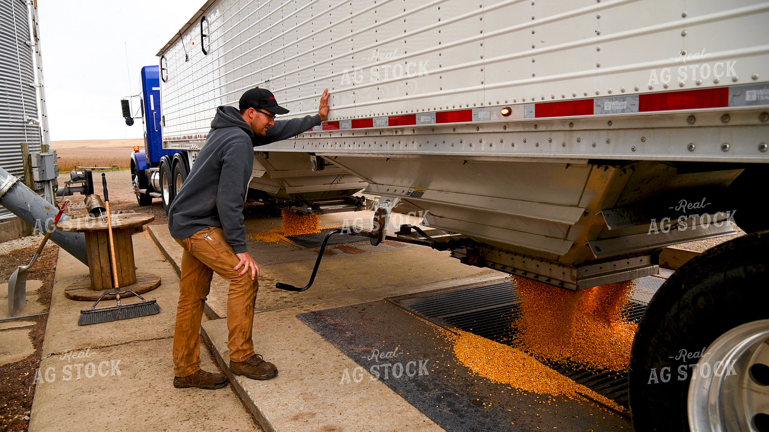 Farmer Unloading Corn from Hopper Bottom Semi to Grain Pit 25611