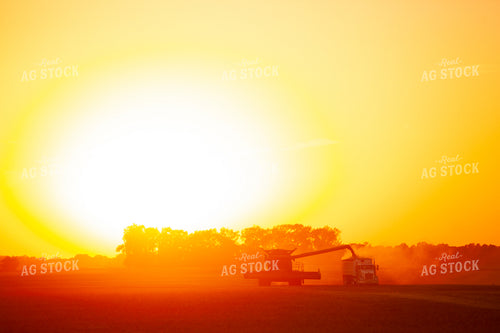 Harvest 1788