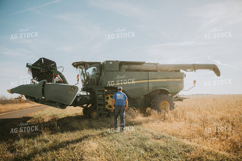 Farmer Walking Towards Combine 7088