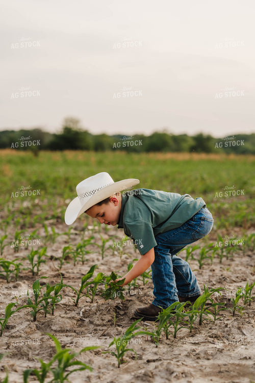 Farm Kid in Cornfield 115305
