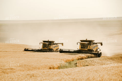 Combine Threshing Wheat 64092