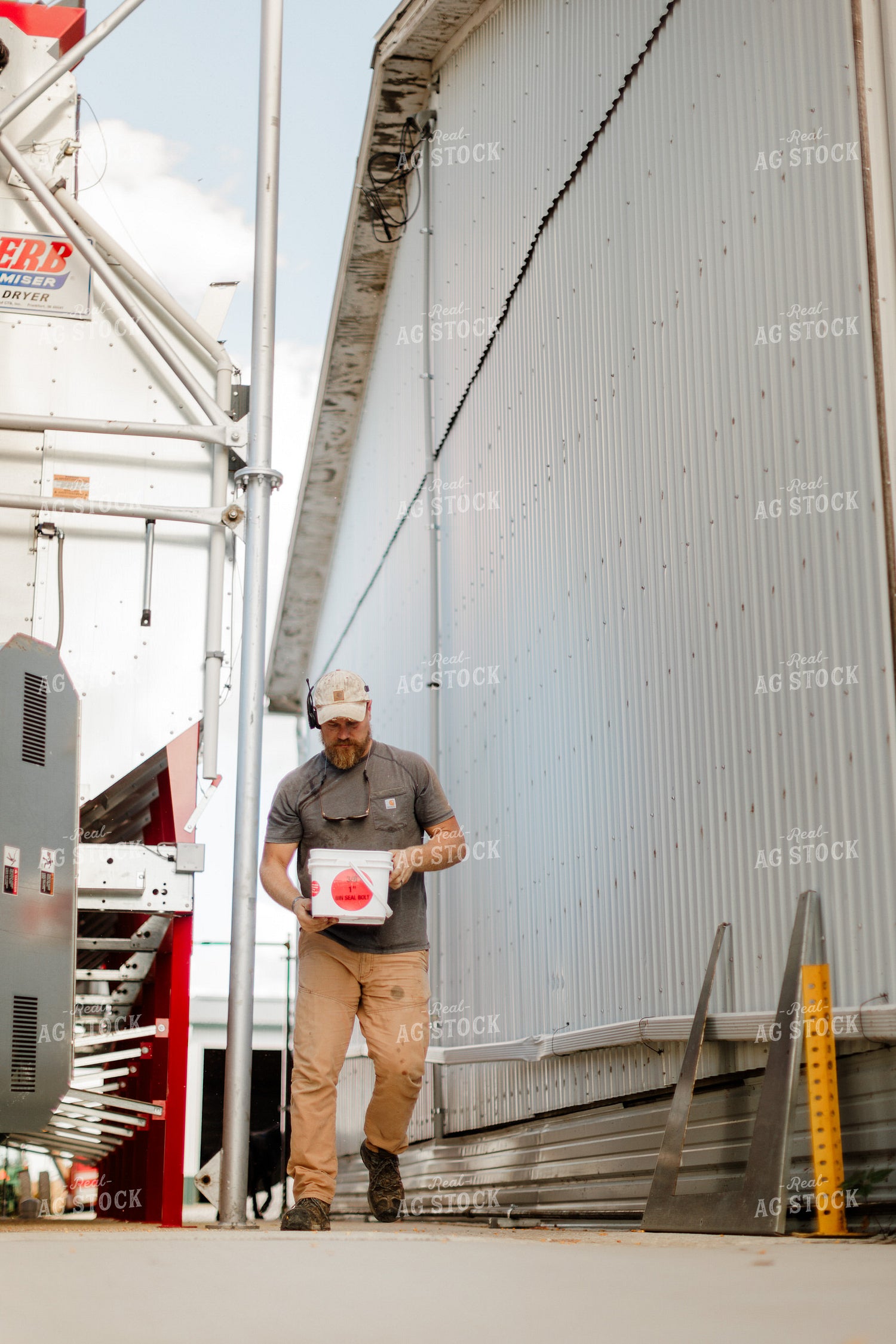 Farmer Checking Moisture of Stored Corn 9338