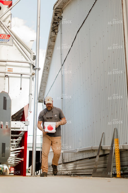 Farmer Checking Moisture of Stored Corn 9338