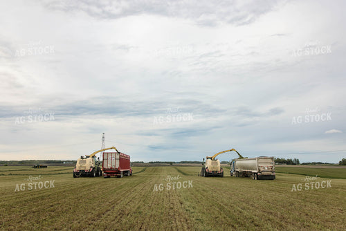 Harvesting Haylage 152799