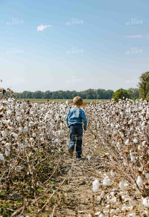 Farm Kid in Cotton Field 291040