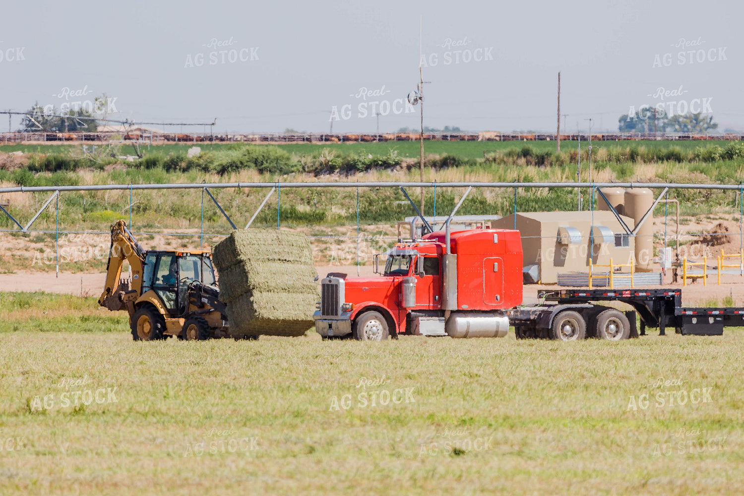 Collecting Hay Bales 97047
