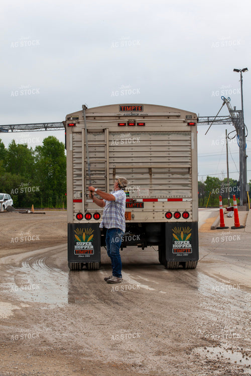 Farmer Rolling Tarp Out onto Semi Truck 132084