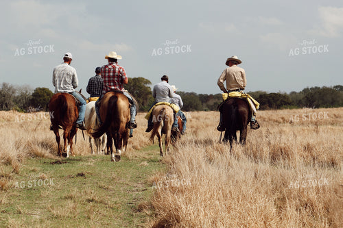 Cowboys Riding Across Field 229001