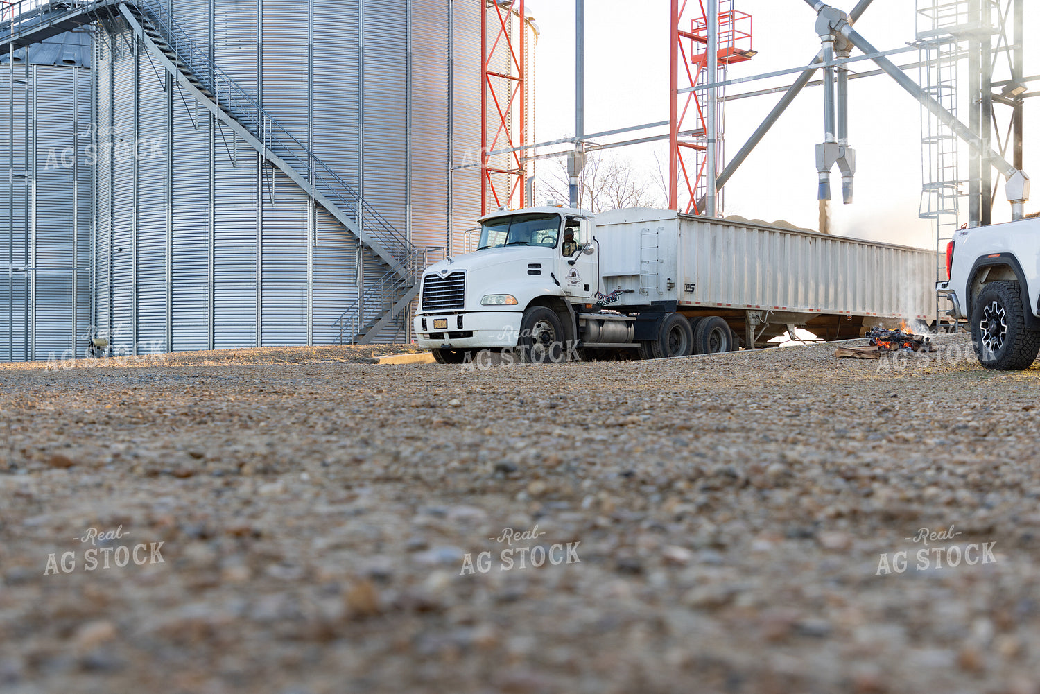Unloading Semi Trailer at Grain Storage 79763
