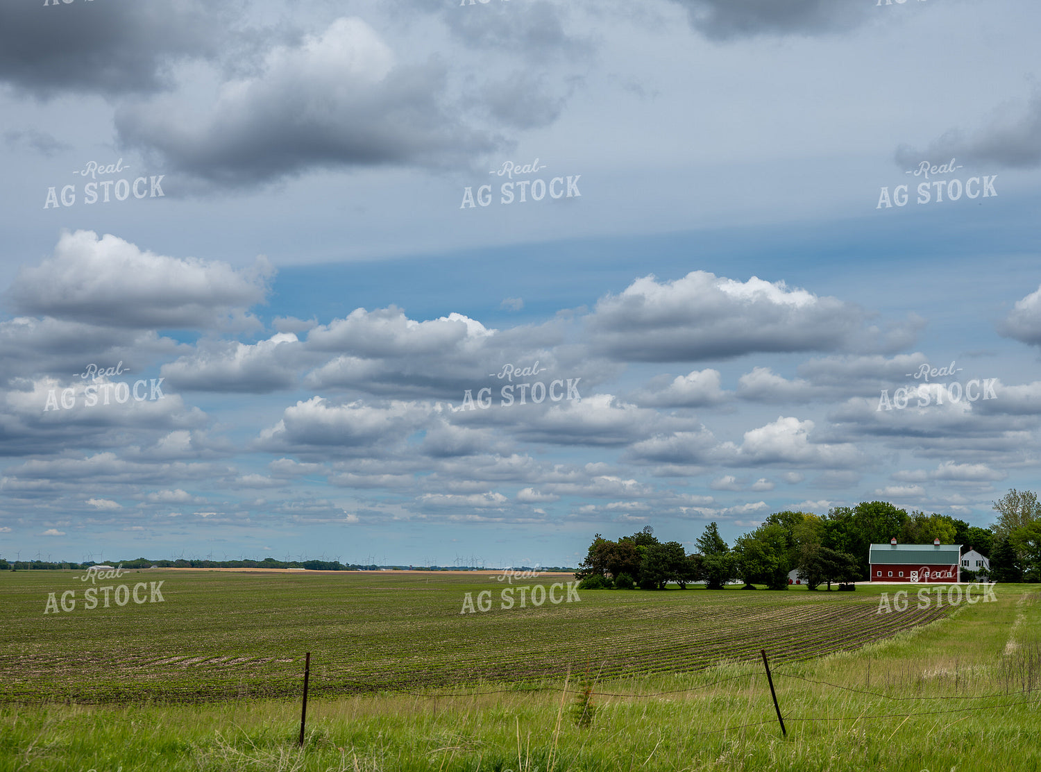 Farm with Red Barn 302048