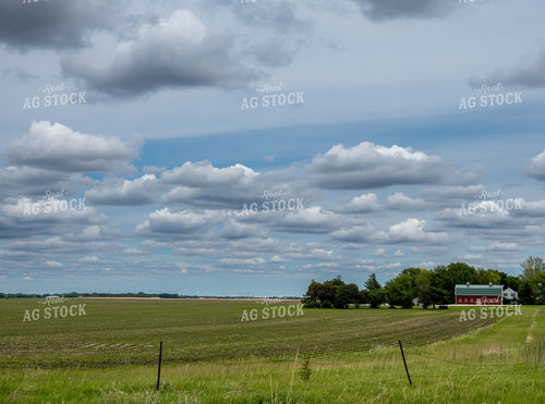 Farm with Red Barn 302048