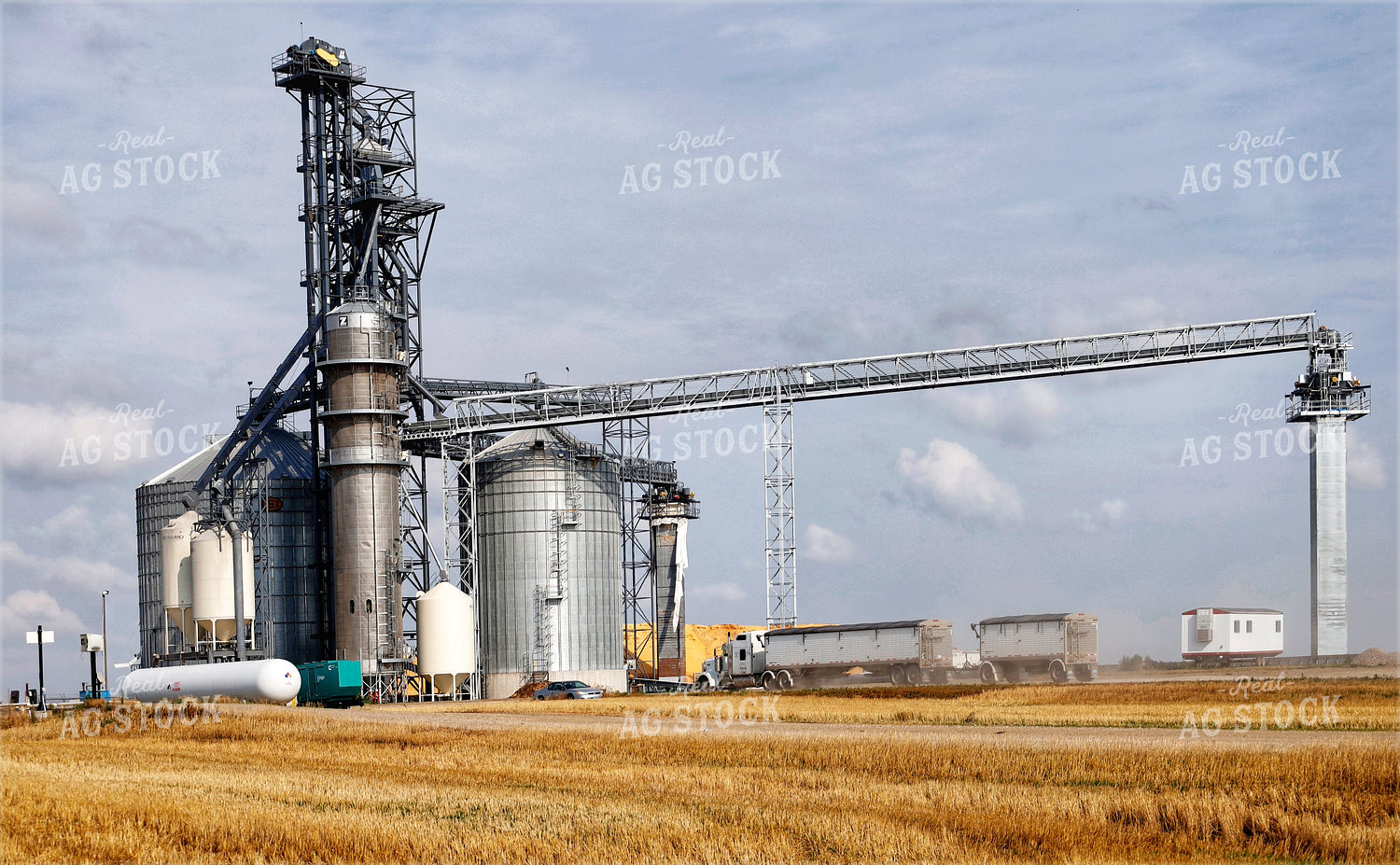 Grain Elevator 141670