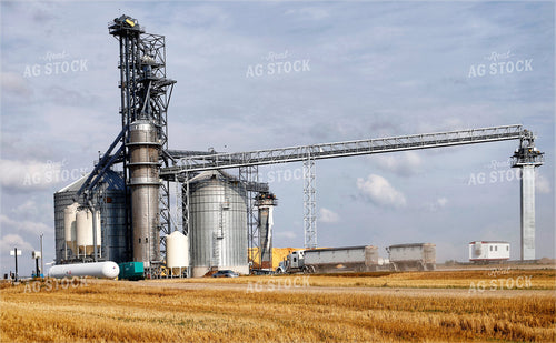 Grain Elevator 141670