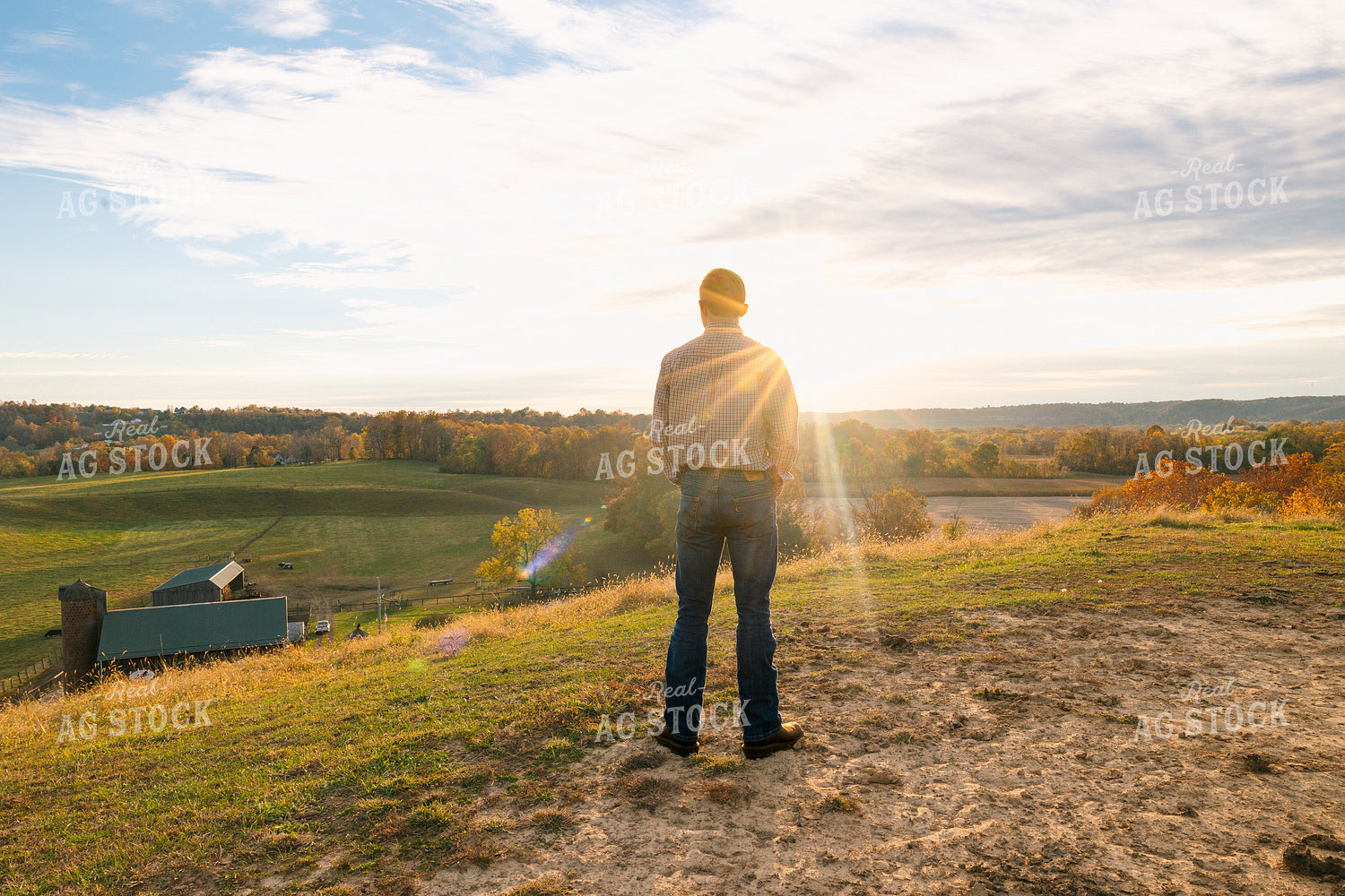 Farmer Overlooking Farm on Hill 52651