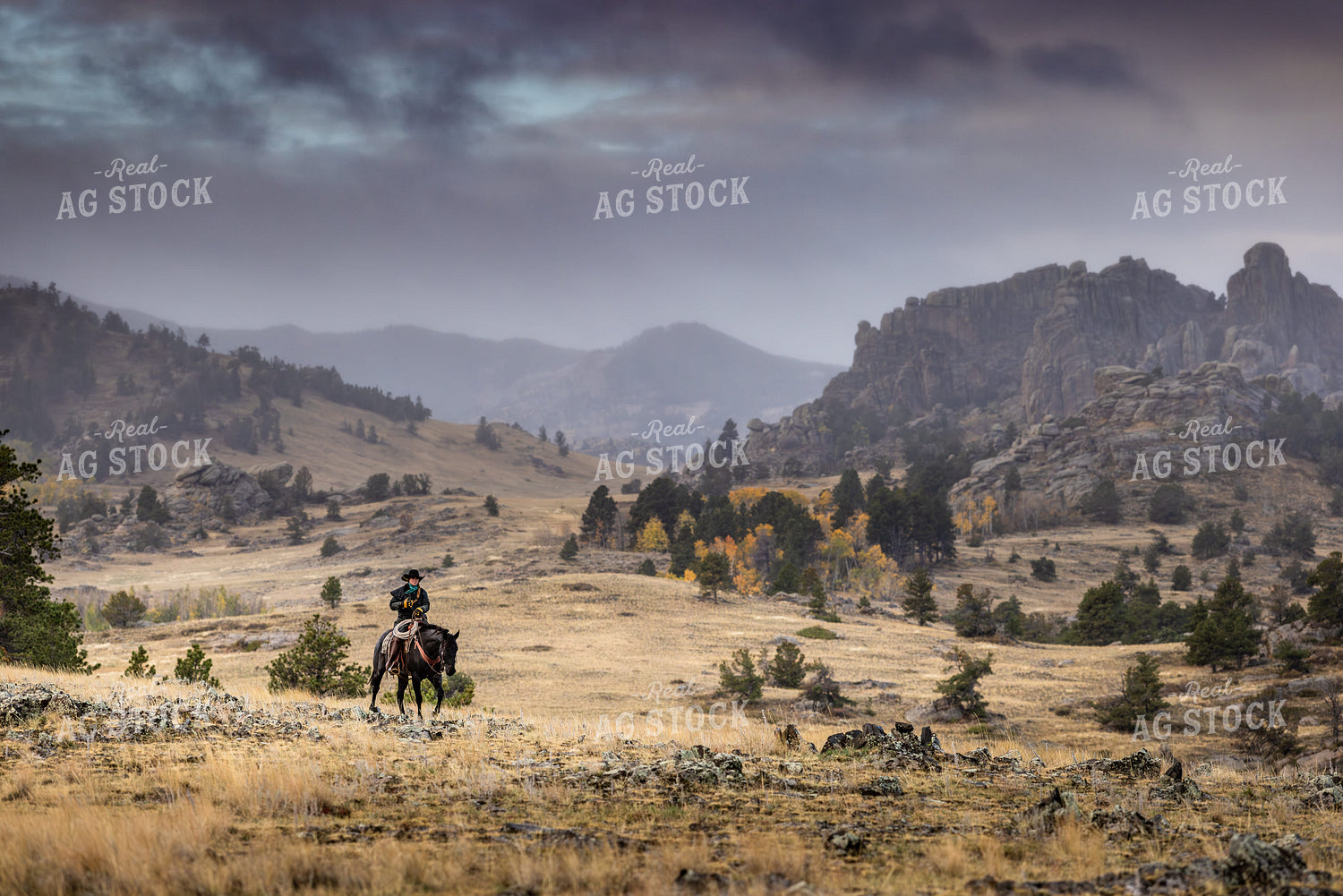 Cowgirl on Horseback 290029