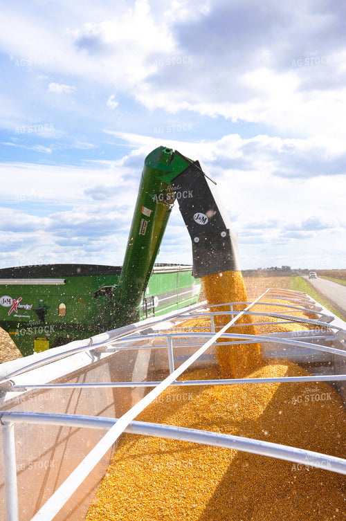 Corn Harvest 277002